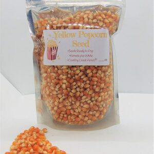 2 lbs Yellow Popcorn Seed – Un Popped Kernels for Popping – Large Butterfly Popcorn- Versatile Product, Makes for a Delicious Snack or Family Fun Crafts! Works with Most Poppers. Country Creek LLC