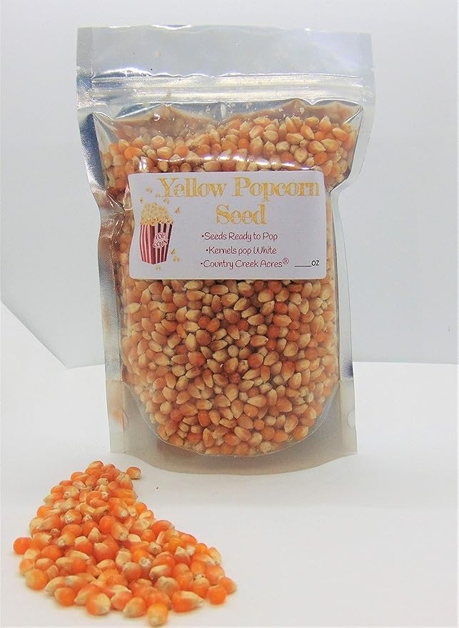 2 lbs Yellow Popcorn Seed – Un Popped Kernels for Popping – Large Butterfly Popcorn- Versatile Product, Makes for a Delicious Snack or Family Fun Crafts! Works with Most Poppers. Country Creek LLC