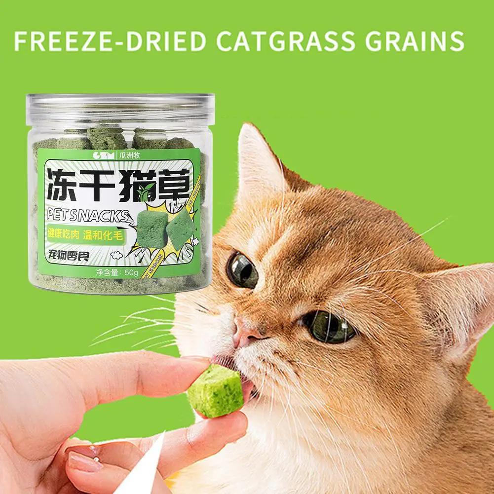 Catgrass Grain Freezedried Cat Snack Row Furry Hairball Teeth Pieces Catgrass Tablets Grinding Catgrass Biscuits X6R5 - Image 6